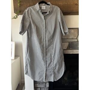 Akris Pinto Shirt Dress 14 Vertical Stripe Green White Natural Minimal Quiet Lux